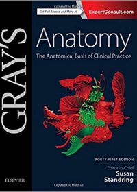 Gray's Anatomy: The Anatomical Basis of Clinical Practice, 41e (Original Publisher PDF)