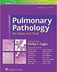 Pulmonary Pathology: An Atlas and Text, 3e (EPUB)