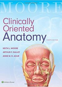 Clinically Oriented Anatomy, 8e (EPUB)