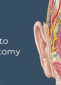 KenHub Anatomy and Histology 2018 (Videos)
