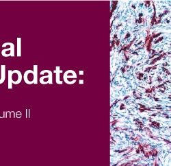 Surgical Pathology Update Diagnostic Pearls for the Practicing Pathologist 2018 (Videos)