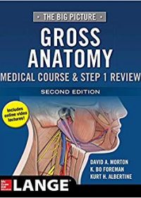 The Big Picture: Gross Anatomy, Medical Course & Step 1 Review, 2e (EPUB)