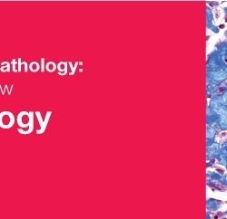 Classic Lectures in Pathology: What You Need to Know: Neuropathology 2018 (Videos)