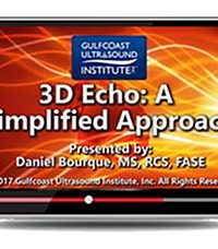 3D Echo: A Simplified Approach (Videos)