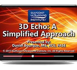 3D Echo: A Simplified Approach (Videos)