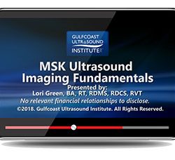 MSK Ultrasound Imaging Fundamentals (Videos)