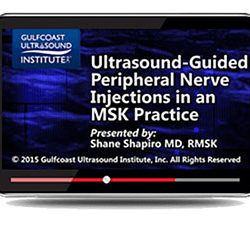 Ultrasound Guided Peripheral Nerve Injections in an MSK Practice (Videos+PDFs)