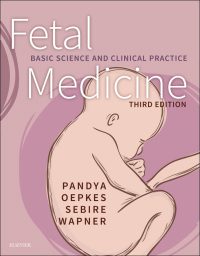 Fetal Medicine Basic Science and Clinical Practice, 3e (True PDF)