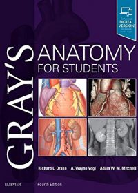 Gray’s Anatomy for Students, 4e (Original Publisher PDF)