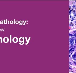 Classic Lectures in Pathology What You Need to Know Dermatopathology 2019 (Videos)