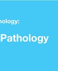 Classic Lectures in Pathology: What You Need to Know: Genitourinary Pathology 2019 (Videos)