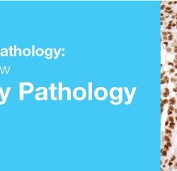 Classic Lectures in Pathology: What You Need to Know: Genitourinary Pathology 2019 (Videos)